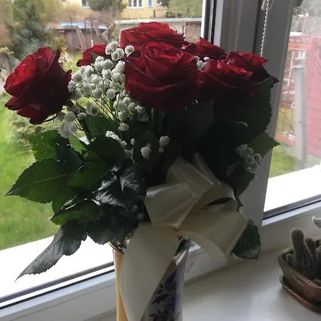 Lorin Prestige Apartamento Elbląg