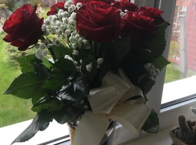 Lorin Prestige Apartmán Elblag